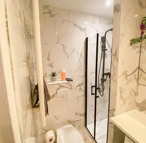 Le Pluvier D'argent*home Cinema Appartement